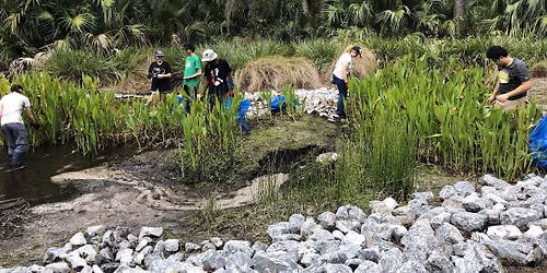 Wilson's Landing - Bioretention Garden Cleanup & Invasive Plant Removal