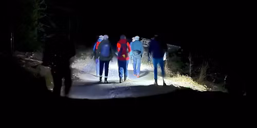 Hodelykttur til Ringdalskoia