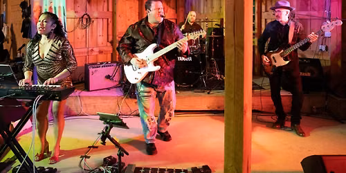 Timeless HTX live at Deep Roots Vineyards