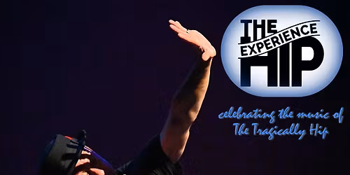 The Hip Experience