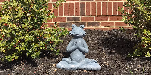 Beginner\/Refresher Yoga