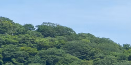 K\u00e4vely Porukalla