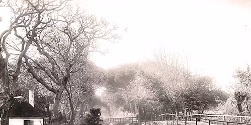 The National Stream - A Heritage Walking Tour Up the Liesbeek River