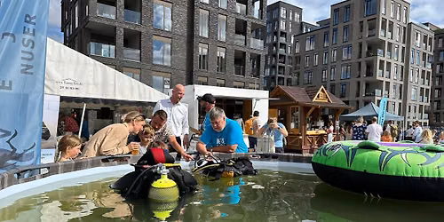 dykker klubben Nuser til vejle fjord festival