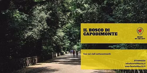Tour nel Bosco di Capodimonte