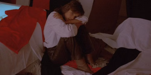 DER FAN - New 4K Restoration