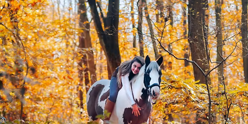 Equine Autumn Woodland Photoshoot 1 - 2025