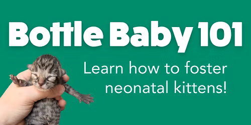 Bottle Baby 101