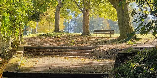 Winchester\u2019s Biggest Garden, St Giles Hill Park. Past, present and future