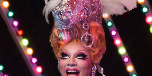 Ginger Johnson: Show Pony