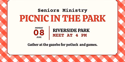 Seniors Picnic in the Park