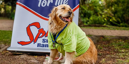 Big Walk by BINAH and Legacy Centre
