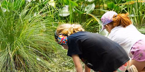 SEND Wonderful Wildlife Weekends at Sydenham Hill Woods
