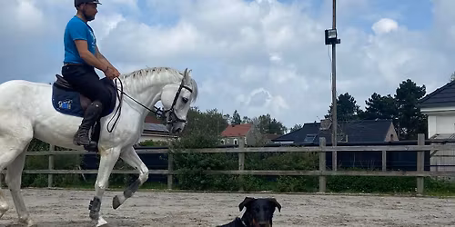 Journ\u00e9e \u00e0 th\u00e8me chiens et chevaux