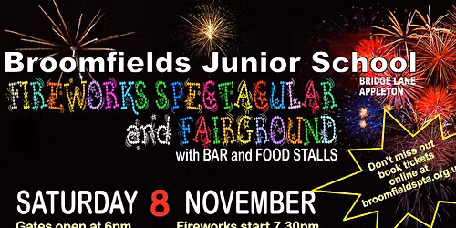 Firework Spectacular \ud83c\udf87