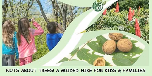 Nuts about Trees! A Guided Hike for Kids & Families