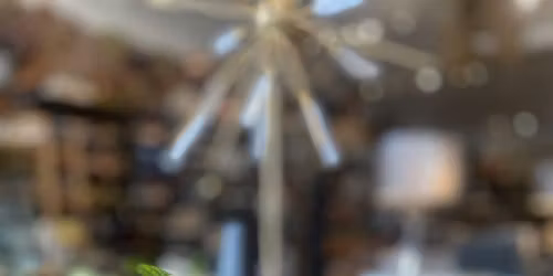 Seasonal Casual Mixology