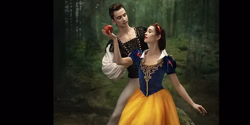 Snow White and The Seven Dwarfs at Wayne YMCA