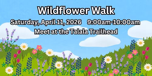Wildflower Walk