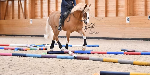 Polework clinic at Abbey Farm Dressage