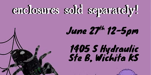 Jumping Spider Adoption Day