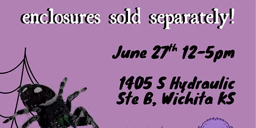 Jumping Spider Adoption Day