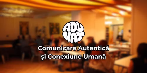 Sear\u0103 de Socializare Autentic\u0103 | TIMI\u0218OARA la Infinity Lounge Bar