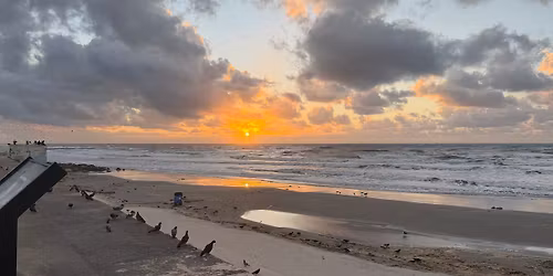 Gators Take Galveston Sunday Long Run