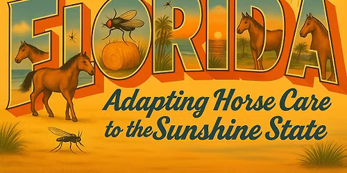 Welcome to Florida: Adapting Horse Care to the Sunshine State