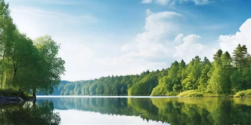 Holistic Wellness Experiences