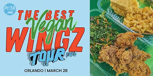 America's BEST Vegan Wingz Tour