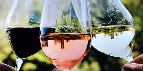 8. Schwazer Weinfest
