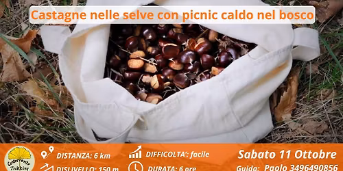 Raccoglier castagne camminando tra le selve, con picnic caldo nel bosco