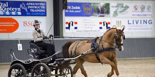 Menwedstrijd dressuur