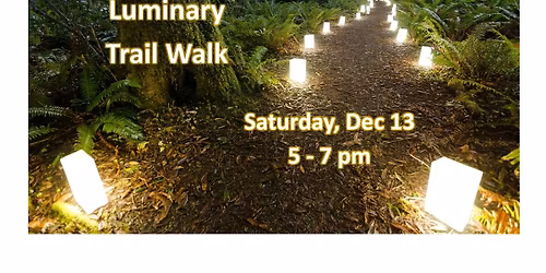 Christmas Luminary Trail Walk