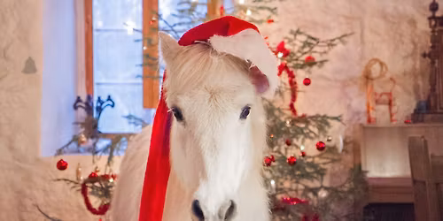 Voipaalan Taide & taito -joulumarkkinat