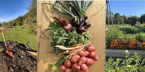 KJ\u00d8KKENHAGEKURS