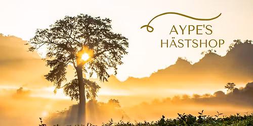 Utf\u00f6rs\u00e4ljning 50-70 % 