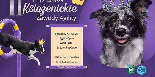 II Ksi\u0105\u017cenickie Zawody Agility