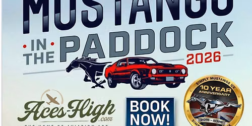 Mustangs on the Paddock!!!
