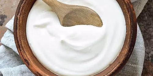 Intro to Homemade Cheese and Dairy- Batavia