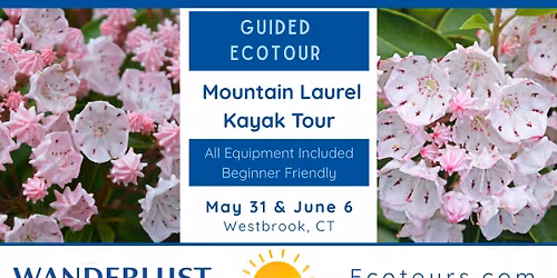 Guided Kayaking: Mountain Laurel Tour