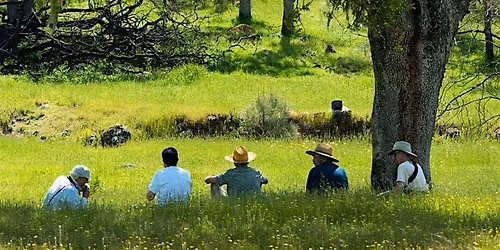 Sharing Stories Together in Nature - Saving Farmlands