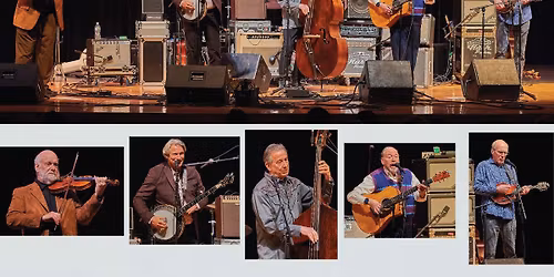 Third Coast Bluegrass at Seman Violins