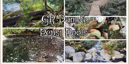 GR Dam Pepsi pools & picnic