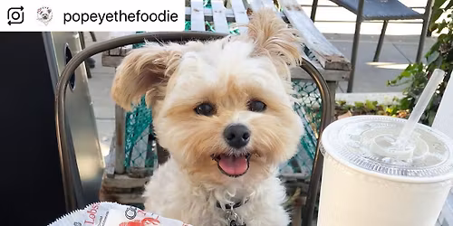 Cousins Maine Lobster at Hops and Hounds