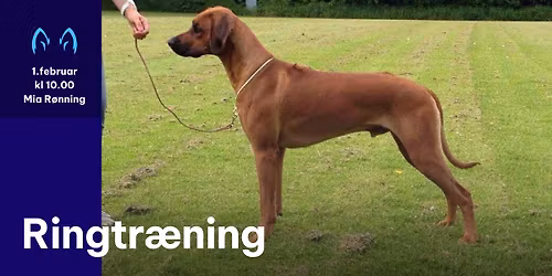 Ringtr\u00e6ning - 1. februar kl 10 ved Mia R\u00f8nning