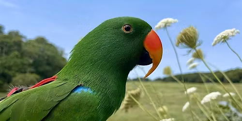 Nature with Norman | Harold Parker, Andover MA
