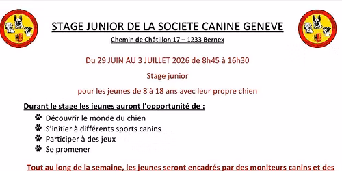 Stage Junior