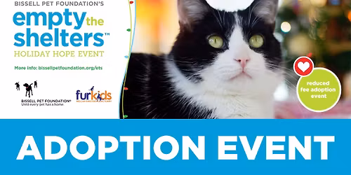 Cat & Kitten Adoptions @ Petsmart Woodstock